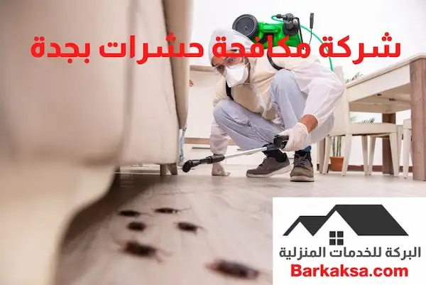 شركة-مكافحة-حشرات-بجدة