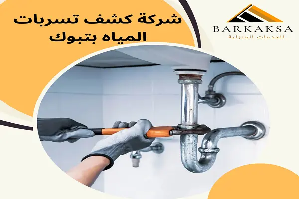شركة كشف تسربات المياه بتبوك